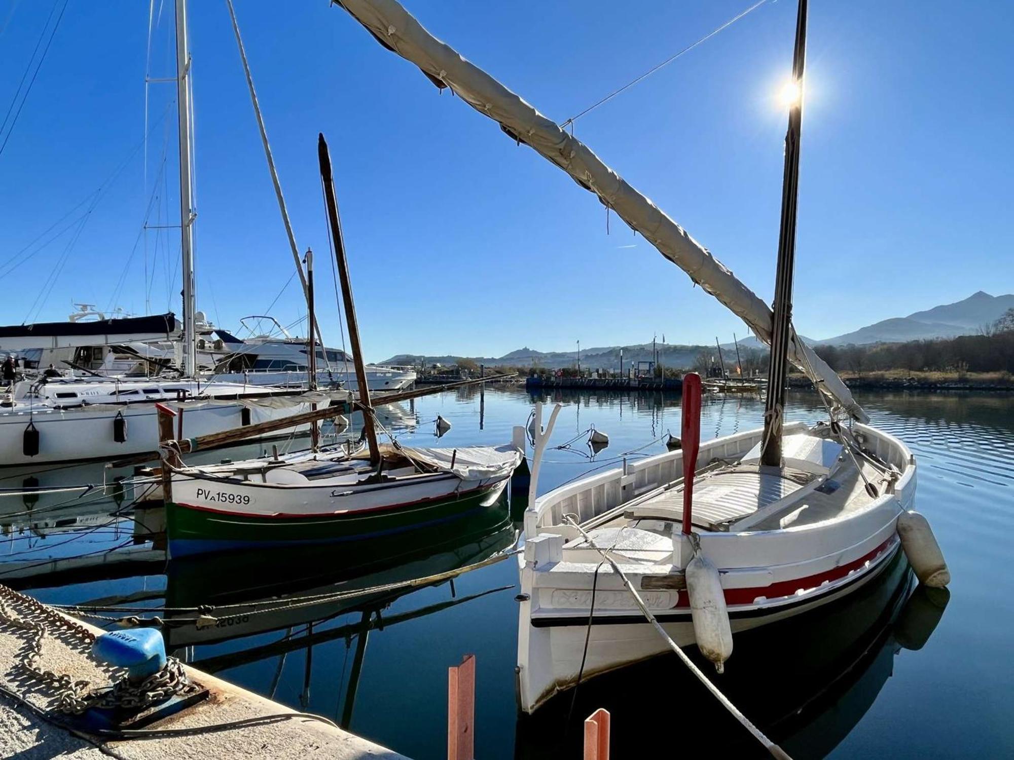 Location Appart 2 Pieces Au Port D'Argeles-Sur-Mer - Fr-1-225-56 Buitenkant foto